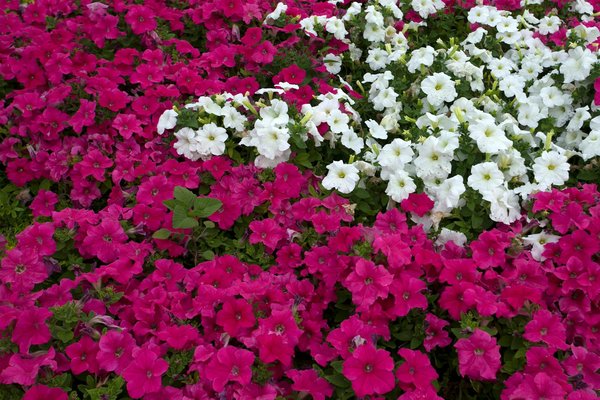 Comment l'architecture moderne influence-t-elle notre quotidien ?