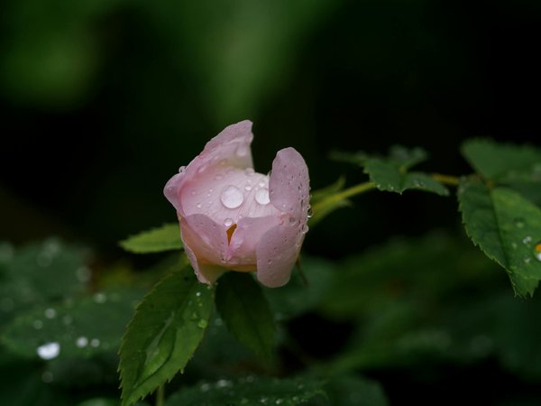 Top 5 chaises ergonomiques à considérer en 2025