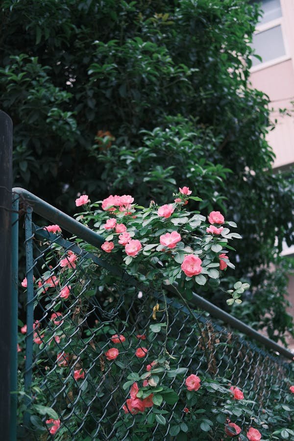 Trouvez le kit de clôture grillage rigide parfait pour votre jardin